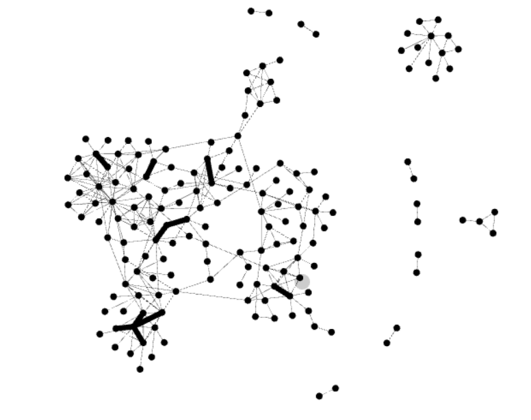 Gephi Tutorial - Rachel Wang